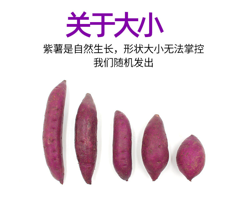 O1CN010UKFX02LYwXVzhWYi_!!2212898249705.jpg