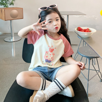 Girls pure cotton short-sleeved T-shirt 2024 new childrens clothing autumn clothing childrens cartoon tops t girls bottoming shirt summer clothing