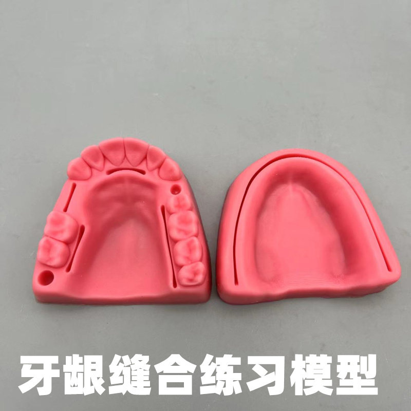 牙科 缝合练习模型 仿真口腔模块 训练缝合术练习工具 包邮