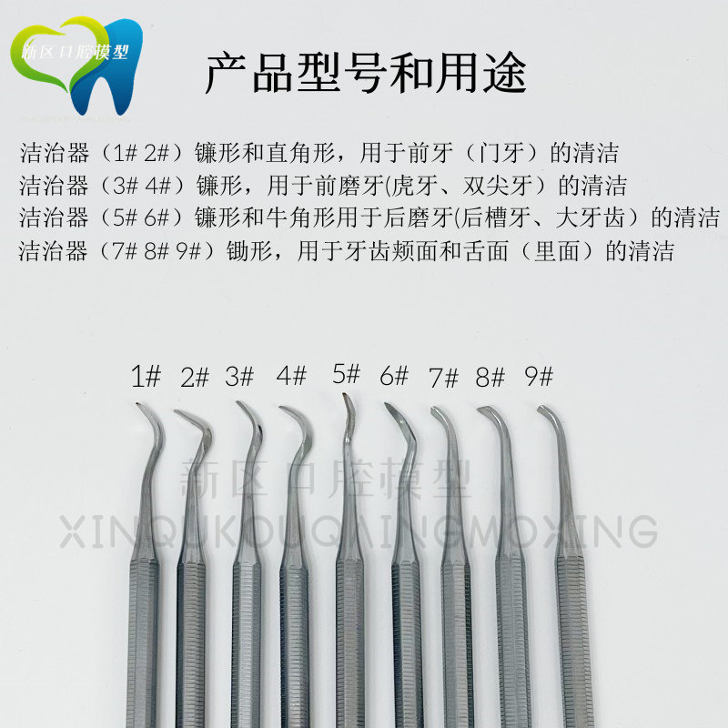 牙科口腔手工洁治器 口腔执考洁治术清洁牙龈上牙垢一件包邮