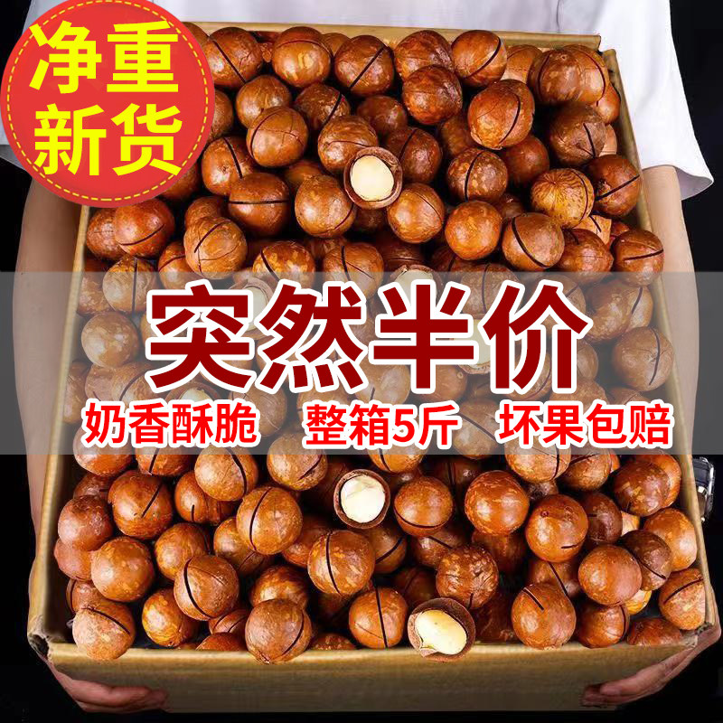Hawaiian Fruits Nuts Wholesale Flagship Store Cream Taste Dry Fruit Ringan Original Taste Pregnant Women Snacks Bulk One Whole Box 10 Cati-Taobao
