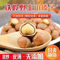 New Northeast bagged wild open large hazelnut Northeast specialty Tieling original thin-skinned nut snacks for leisure