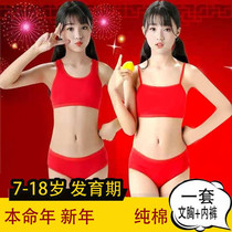 Female large childrens underwear This life of the year of education Primary school pupils red vests for the first time in pure cotton large red inner clothing pants