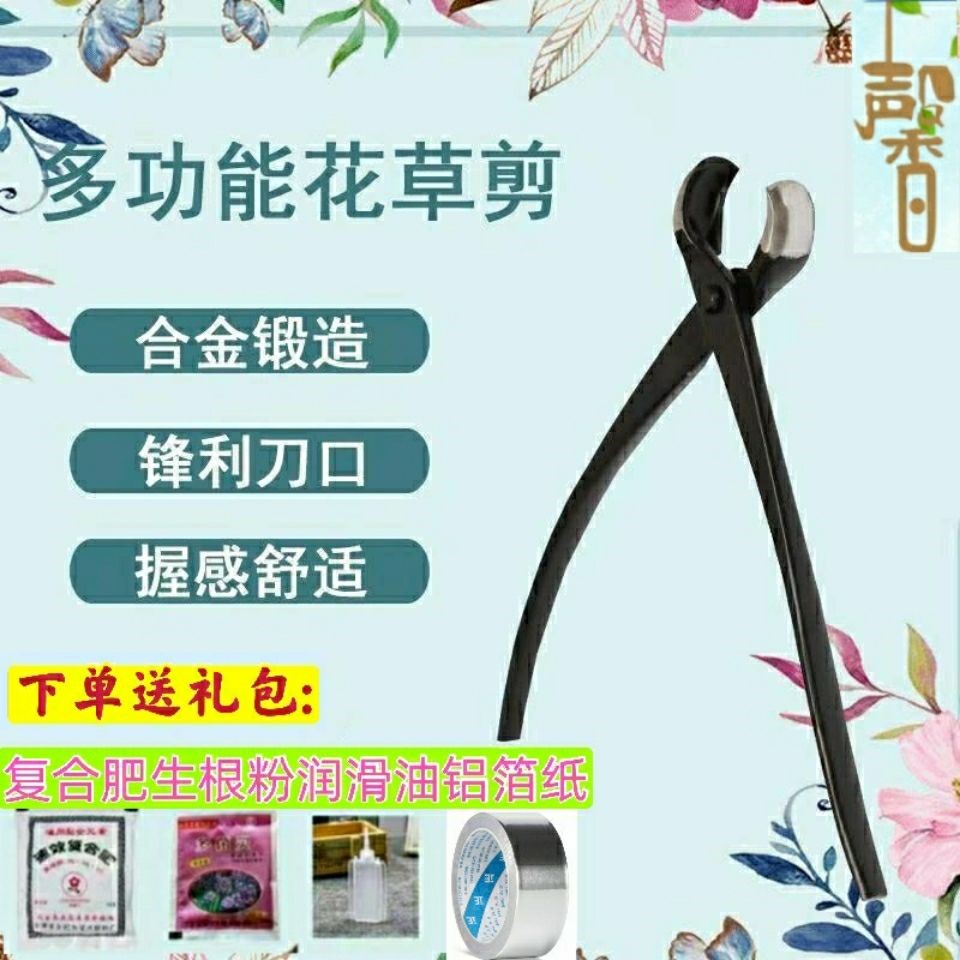 Ball shear ball section shear bonsai pruning special tool ball shear pruning scissors Yuanxin set tree pliers