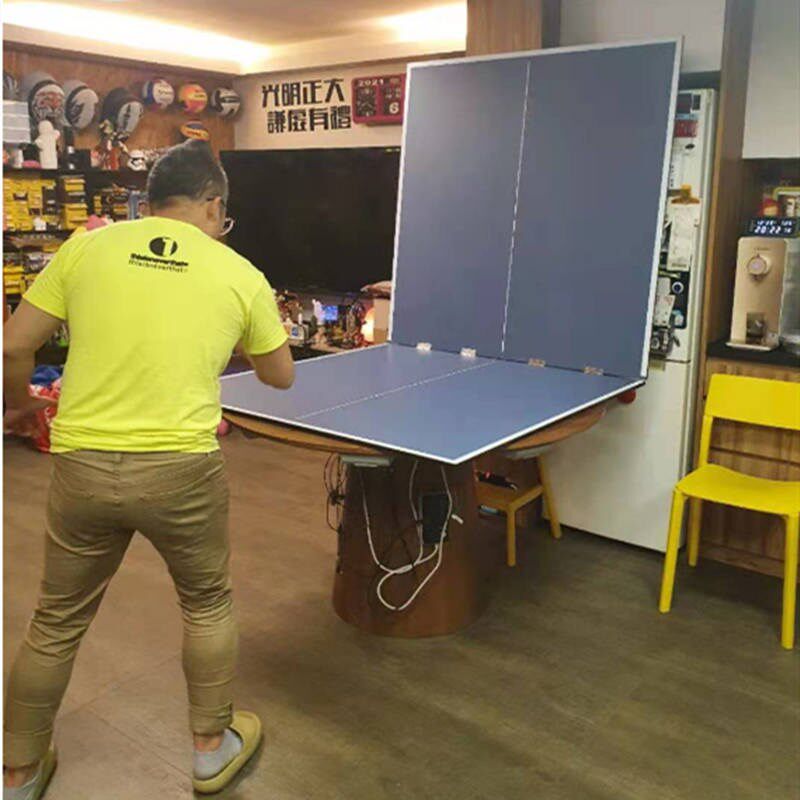 Delivery network National Pets Competition Table Tennis Table Tennis Table Folding Children Home Simple Portable Ping Pong Table Panel