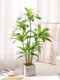 Simulated Green Plants, High-End Light Luxury Brazilian Wood, Large-Scale Simulated Plants, Indoor Living Room Floor-Standing Potted Plants, Decorative Ornaments
