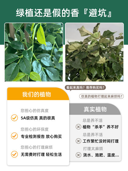 Simulated Green Plant, Happiness Tree, Decorative Ornament Next to the Tv Cabinet, High-End, Light Luxury, Realistic Bionic Plant, Fake Tree Potted Plant