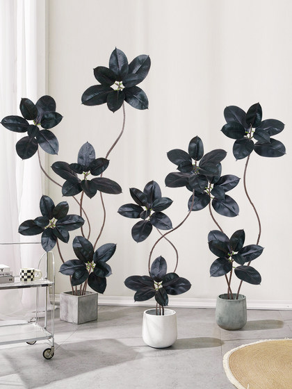 Artificial Green Plant Black Rubber Tree Potted Fake Plant Bionic Living Room Decoration High-End and Elegant Decoration