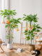 Artificial Green Plant Mandala Luxury Sofa Side Floor-Standing Ornament Large Indoor Living Room Decorative Potted Fake Plant