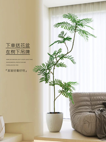 High-End Bionic Green Plant Jacaranda Indoor Living Room Decoration Next to the Tv Cabinet High-Quality Artificial Plant