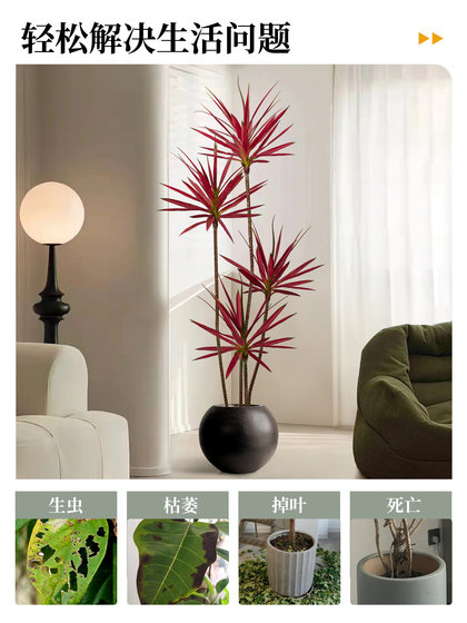 Simulated Agave Indoor Living Room High-End Light Luxury Decorative Ornaments Potted Plants Floor-Standing Large-Scale Simulated Green Plants Atmosphere Tree