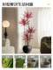 Simulated Agave Indoor Living Room High-End Light Luxury Decorative Ornaments Potted Plants Floor-Standing Large-Scale Simulated Green Plants Atmosphere Tree