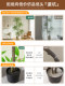 Simulated Green Plant Nandina Bamboo High-End Light Luxury Indoor Living Room Artificial Tree Large Potted Plant Bionic Plant Floor-Standing Decorative Ornament