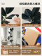 Bionic Green Plant Black Diamond Indoor Living Room Sofa Side High-End Large Floor-Standing Artificial Rubber Tree Fake Flower Decoration