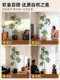 Simulated Peacock Wood Indoor Vintage-Style Home Decor High-Quality Large Artificial Plant Light Luxury Ambiance Decoration