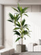 Simulated Green Plant Velvet High-End Light Luxury Bionic Plant Indoor Living Room Decoration Floor-Standing Potted Plant High-Grade Large Tree