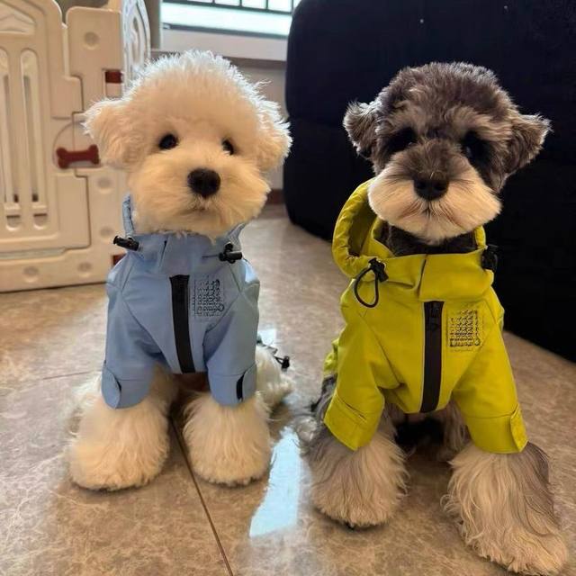Dog Clothes Waterproof Jacket Schnauzer Bichon Teddy Shiba Inu West Highland Pet Clothing Raincoat