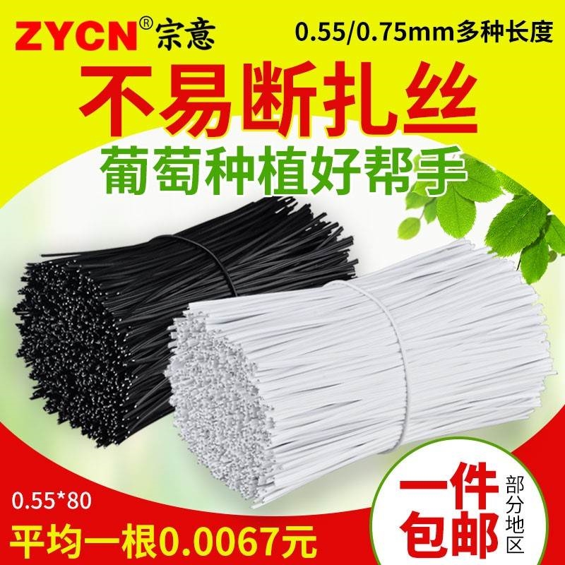 055 iron wire silk thread succulent climbing vine fixed tie-line bundled grape gang branch tie tie bundle with branch fine iron wire