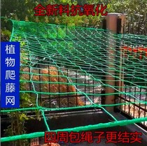 Melon and vine net carob loofah bitter melon hanging melon pumpkin passion fruit cucumber planting agricultural grid plant climbing net