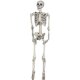 Halloween Skeleton Human Bones Skull Frame Decoration Outdoor Horror Props Ornaments Haunted House Secret Room Bar Props Ornaments