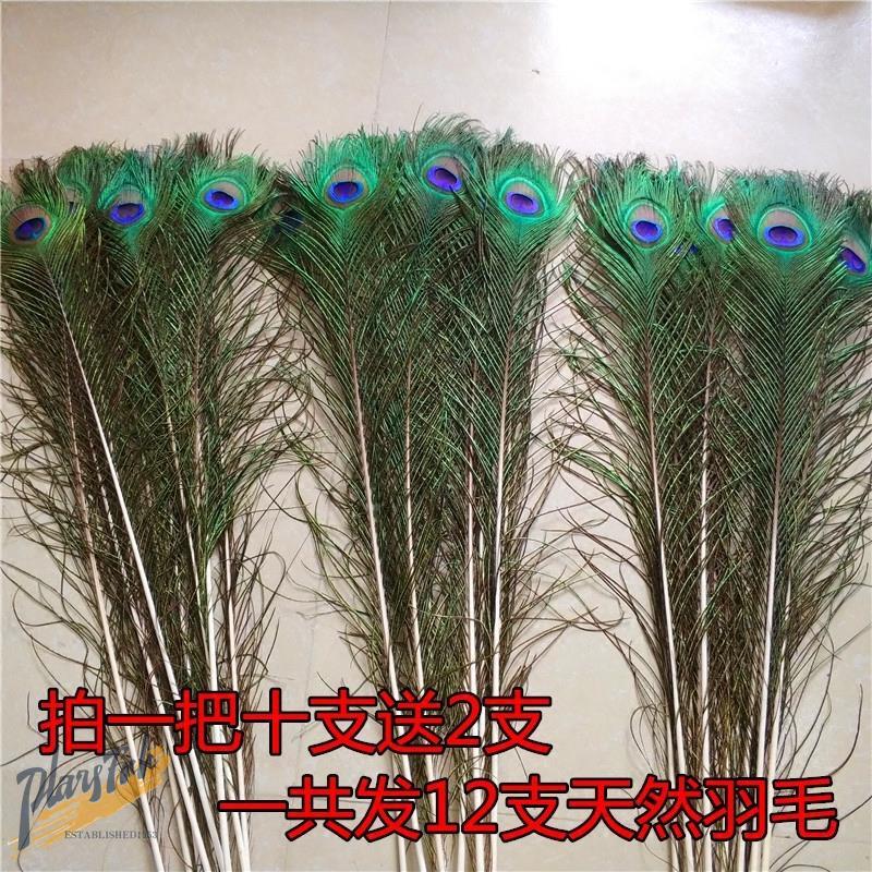 Pure Natural Real Peacock Feathers Imported from India Peacock Feathers Wedding Feathers DIY Living Room Home Vase Decoration