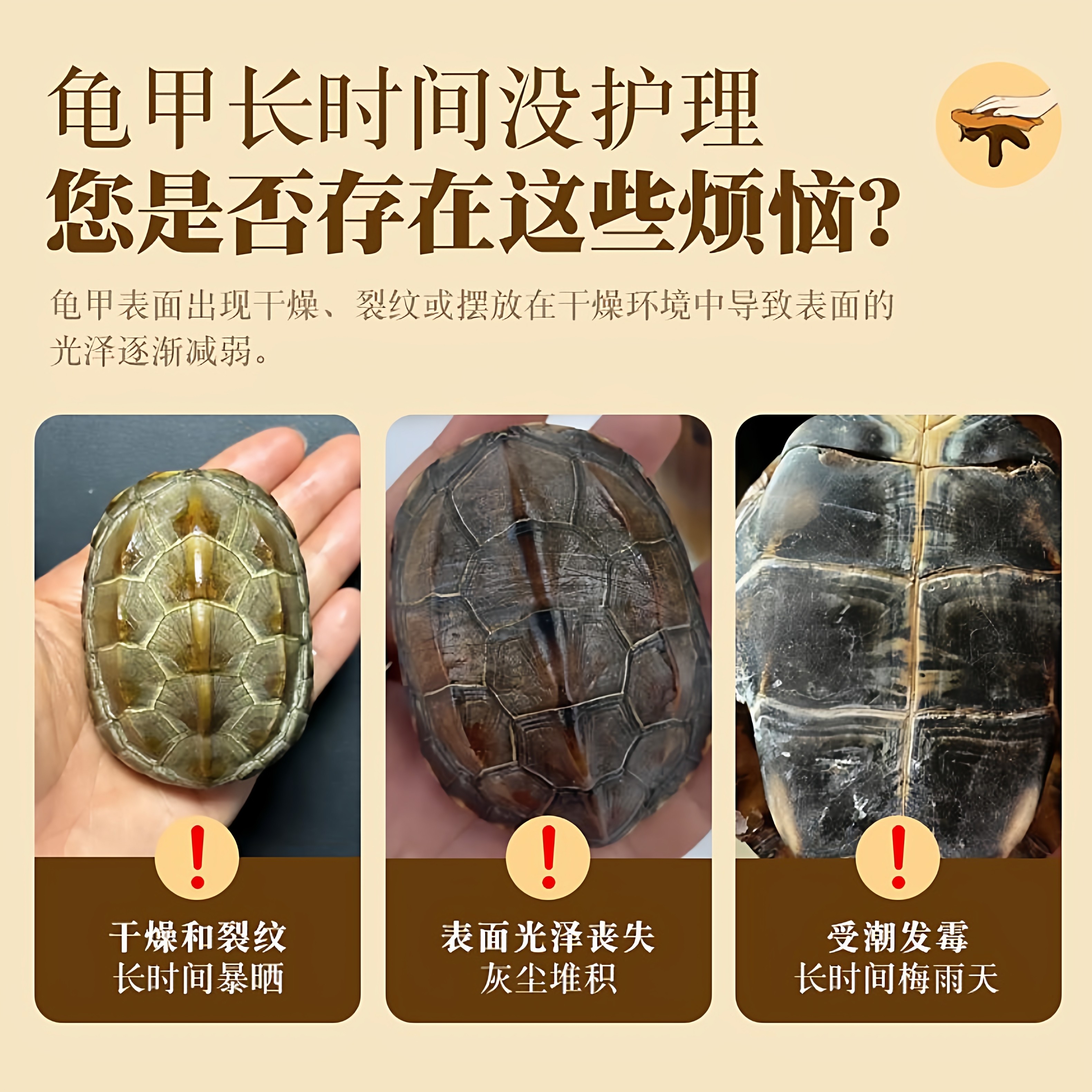 25年必买!龟壳保养油牙骨角猛犸象牙牦牛梳防干裂提亮上色玉化出浆骆驼油膏种草-其他-淘宝好物网
