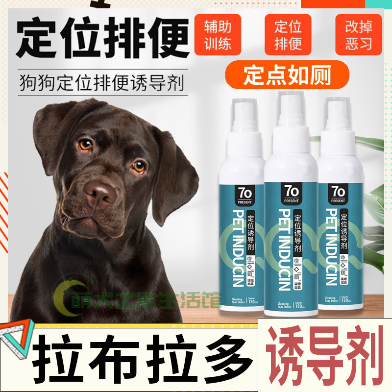 Labrador special positioning anti-dog urine-inducing agent underdog defecation training toilet Urinator Defecation