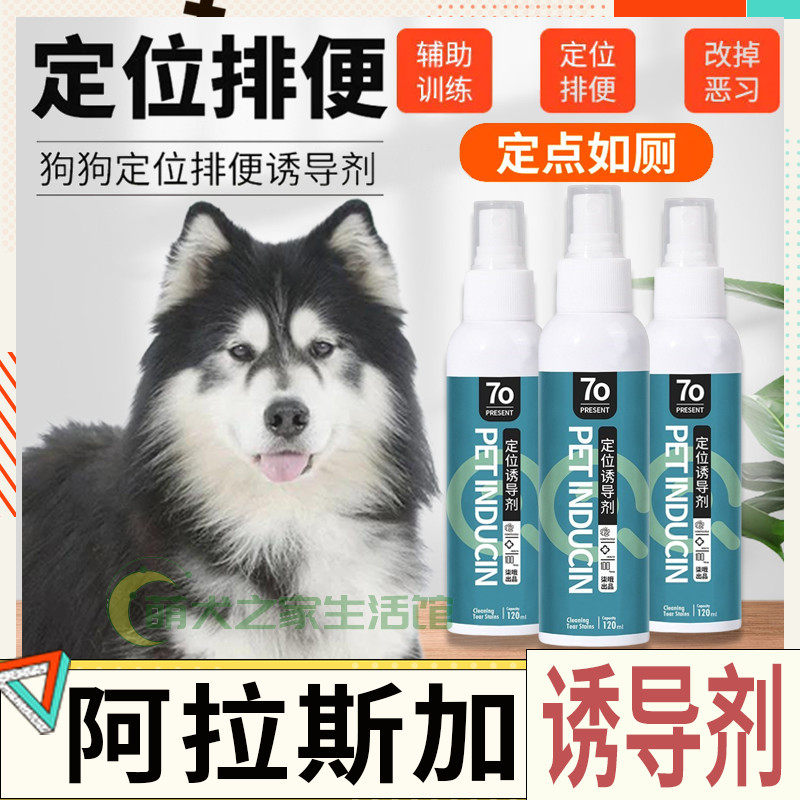 Alaska Special Divine Instrumental Positioning Inducers Dogs Bowels to relieve themselves in the bowels of the Toilet Bowl and the Toilet Bowl of the Toilet Bowl