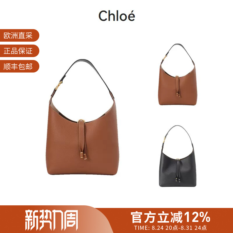 Chloe Women's Small Hobo Bag Underarm Bag Handbag Shoulder Bag Chc24As629I31