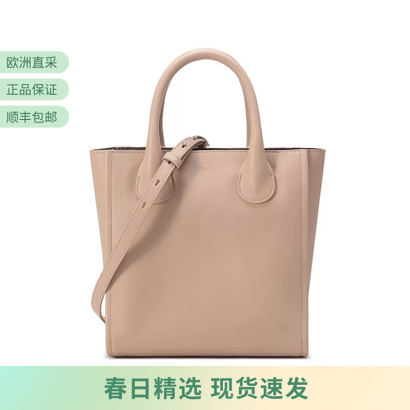 Chloe Women's Small Tote Bag, Hand-Held Shoulder Crossbody Bag Chc21Ws458F46