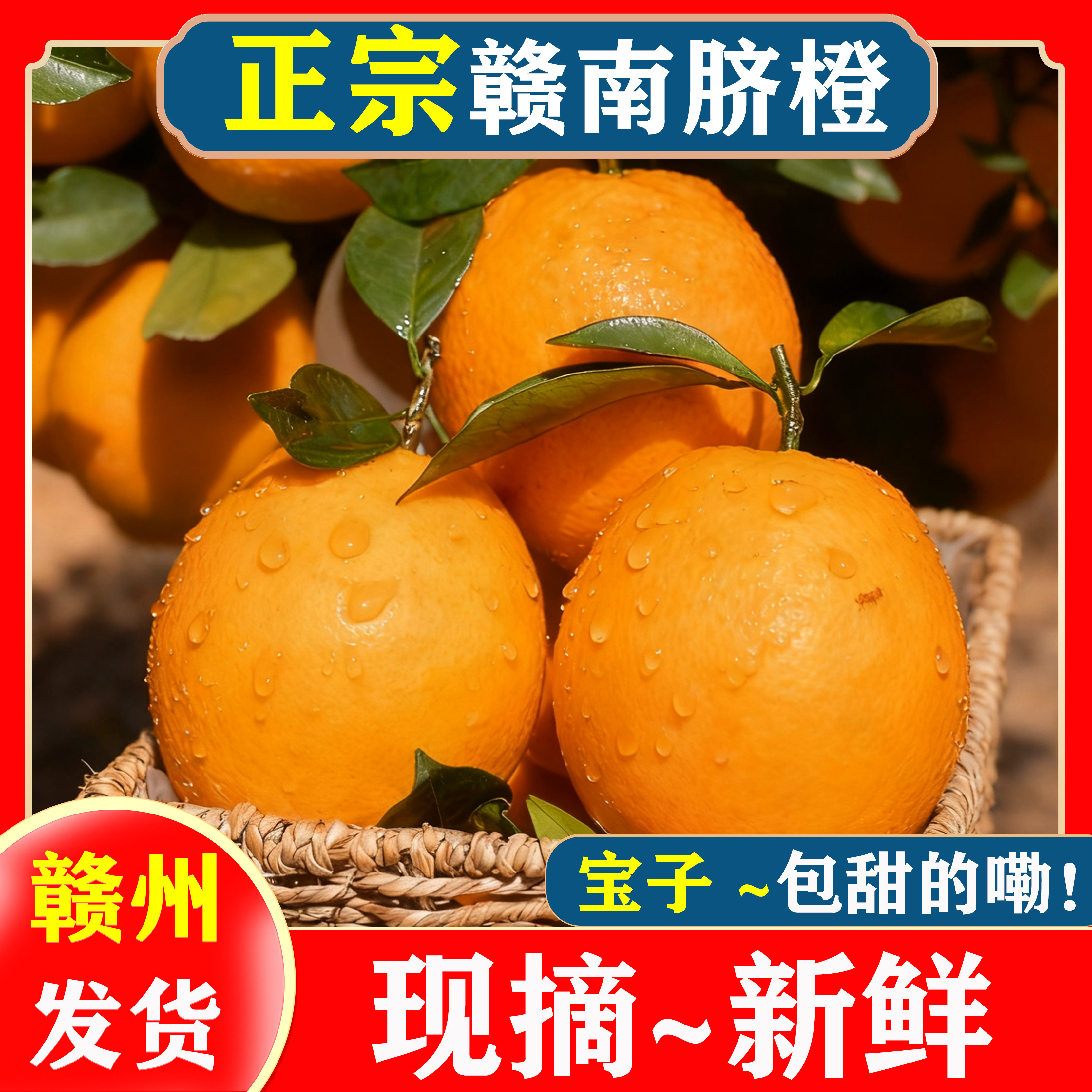 江西赣南脐橙果园直供