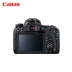 [Brand new Authentic] Máy ảnh DSLR kỹ thuật số cấp độ cơ thể Canon / Canon EOS 77D - SLR kỹ thuật số chuyên nghiệp SLR kỹ thuật số chuyên nghiệp