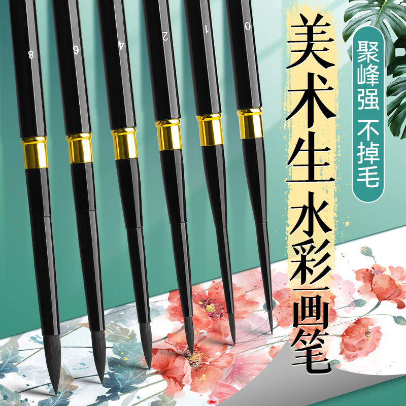 Swan Watercolor Pen Fine Art Hook Line 6 Number 8 Watercolor Black Pole Brush Suit Single Branch Black Pole Round Squirrel Hair Painting Pen Professional Medecine Watercolor Paint Animal Fur Red Fat Sub Brush-Taobao