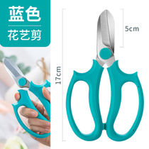 Floral scissors flower arranging and pruning scissors wide-head multi-functional lily rose flower pruning scissors flower shop gardening scissors