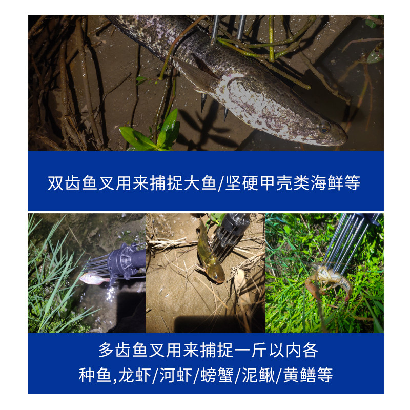 不锈钢鱼叉杆倒刺鱼叉叉头老式鱼叉神器伸缩定位碳素鱼叉杆槟榔杆:传统与现代的完美融合-抄网杆-淘宝百科网
