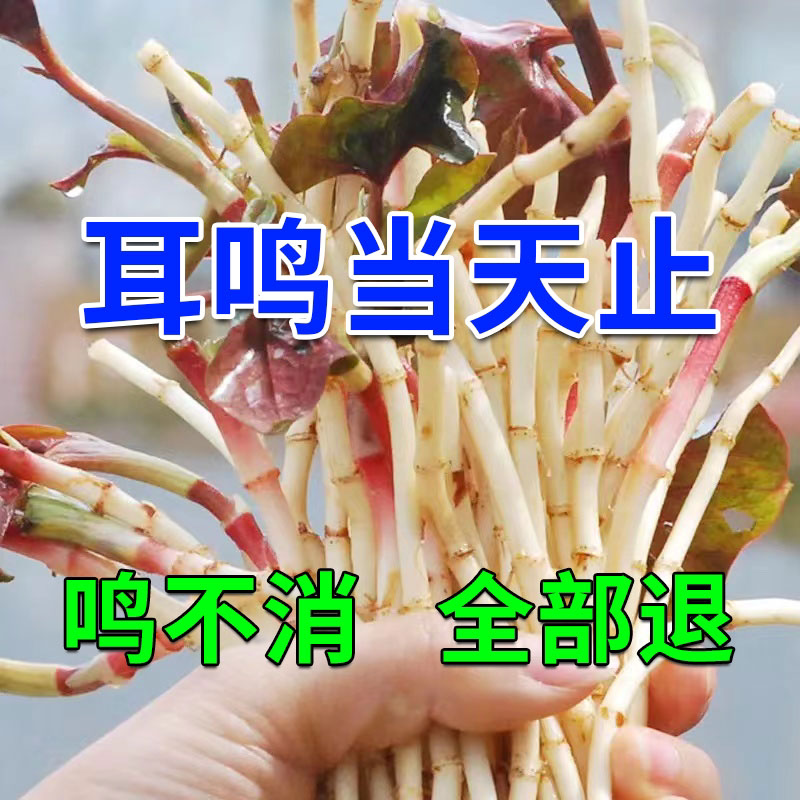 (Lifetime Without Tinnitus) Neuropathic tinnitus buzzing with a special effects patch XW for special effects of hearing loss 