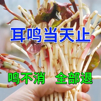 (Lifetime Without Tinnitus) Neuropathic tinnitus buzzing with a special effects patch XW for special effects of hearing loss