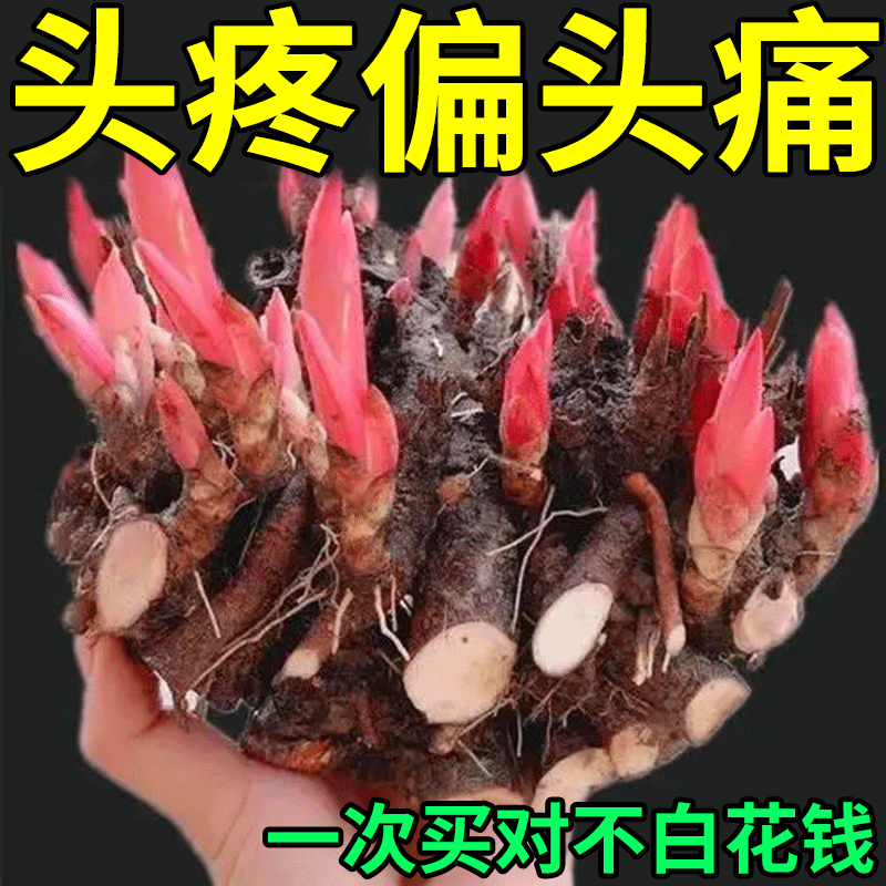 Difficult headache for trifork nerve pain headache for headache relief special artifact LJ