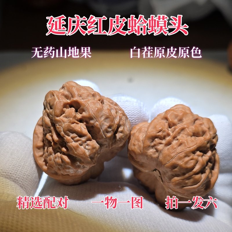 【最上級品種】文玩核桃 蝦蟇頭 延慶蛤蟆头 双开背 38mm 文玩核桃金蟬鐵蛤蟆頭小尺寸獅子頭延慶野生老樹核桃男士隨身把玩| 協貿