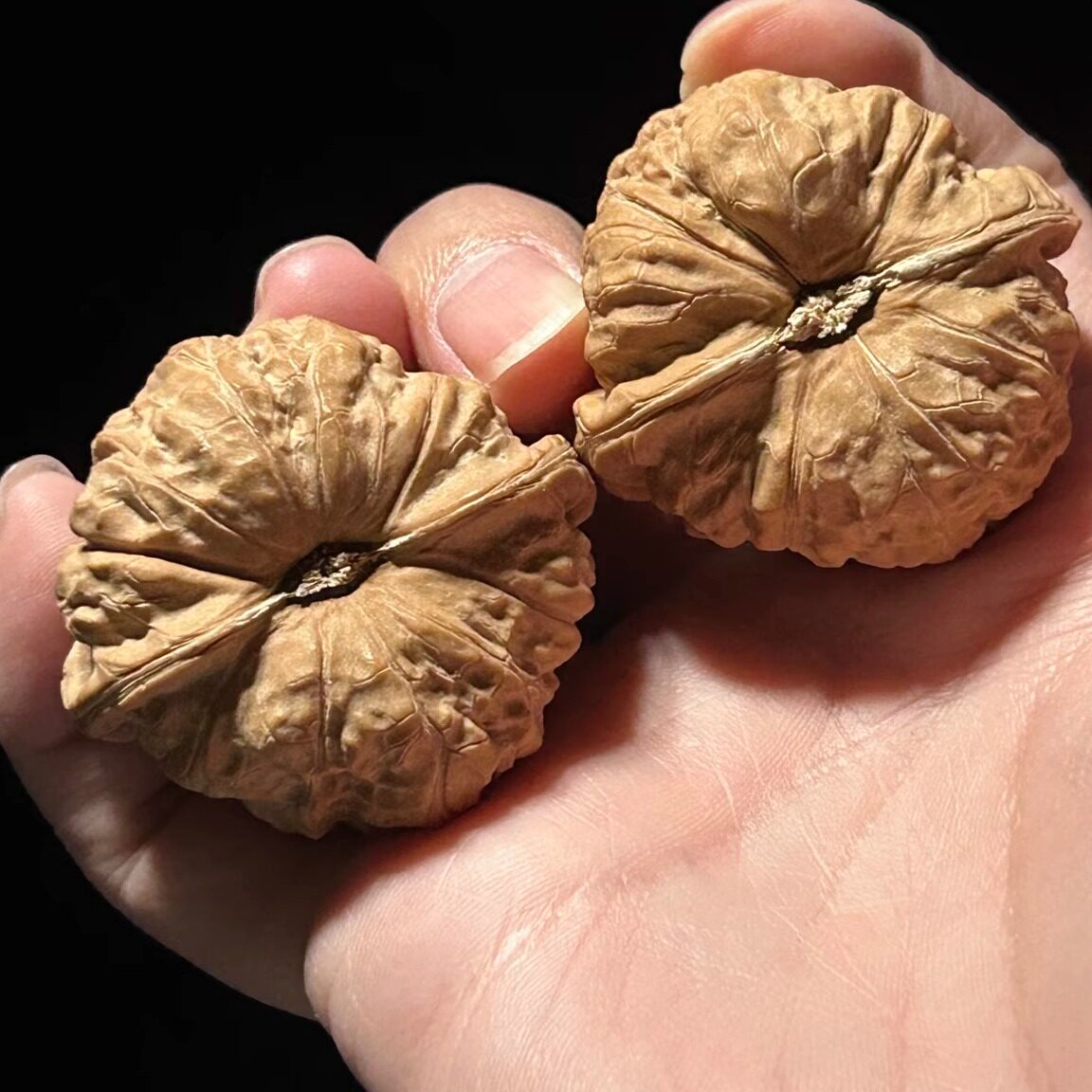 南瓜墩核桃收藏指南🌟 文玩精品推荐💎-小众木作-淘宝好物网