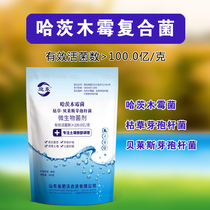 Hartzwood mould seed agricultural Bacillus subtilis anti-root rot anti-stubble Biles composite microbial inoculum