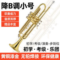Original trumpet instrument B flat student adult beginner student version examination tutorial playing universal