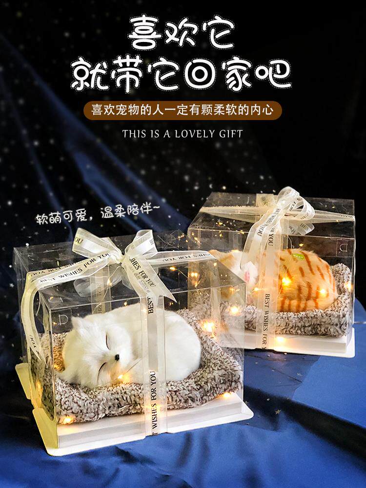 Rihu YVC gift for girlfriend, girl, child, cat, raccoon, play decoration, girl's heart, cute new