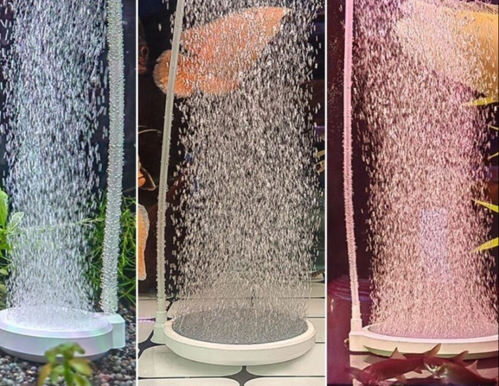 壹心邦水族
