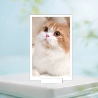 Белая фоторамка, 10 дюймов