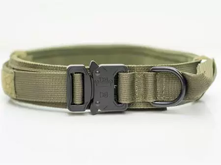 Конский собак специальный ошейник Золотой Мао По стадийным тактикам для предотвращения шеи, обучение собаки, заголовок для дрессировки, верёвка для прогулки с собакой