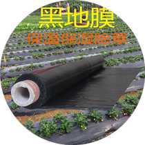 Black mulch film weeding film agricultural thickened black film greenhouse vegetable orchard insulation and moisturizing white film silver black reflective film