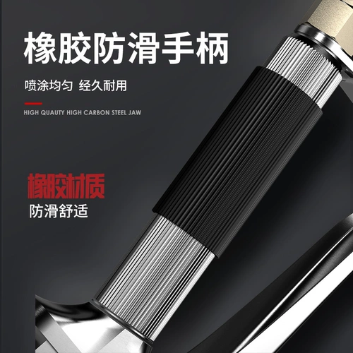 Delixi High -Dressure Spray Spray Spray Spray Pun