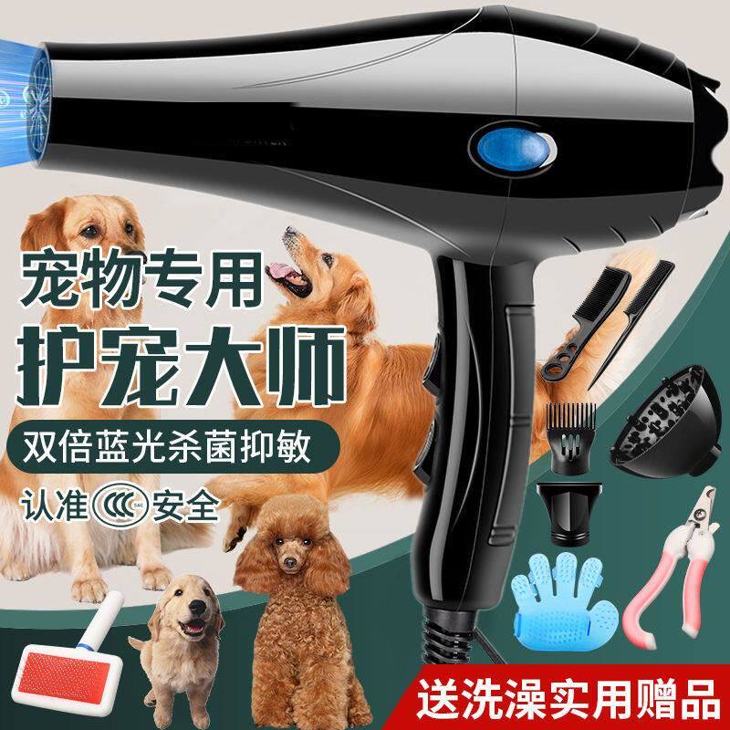 Pet dog hair dryer high power mute dog hair dryer golden retriever Teddy cat large dog special water blower