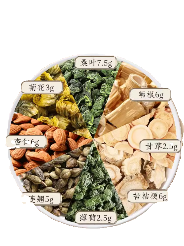 鲜嫩桑叶喂养小蚕的秘密：江西优质货源解密